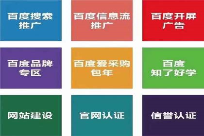 百度推广优化策略：成功案例解析